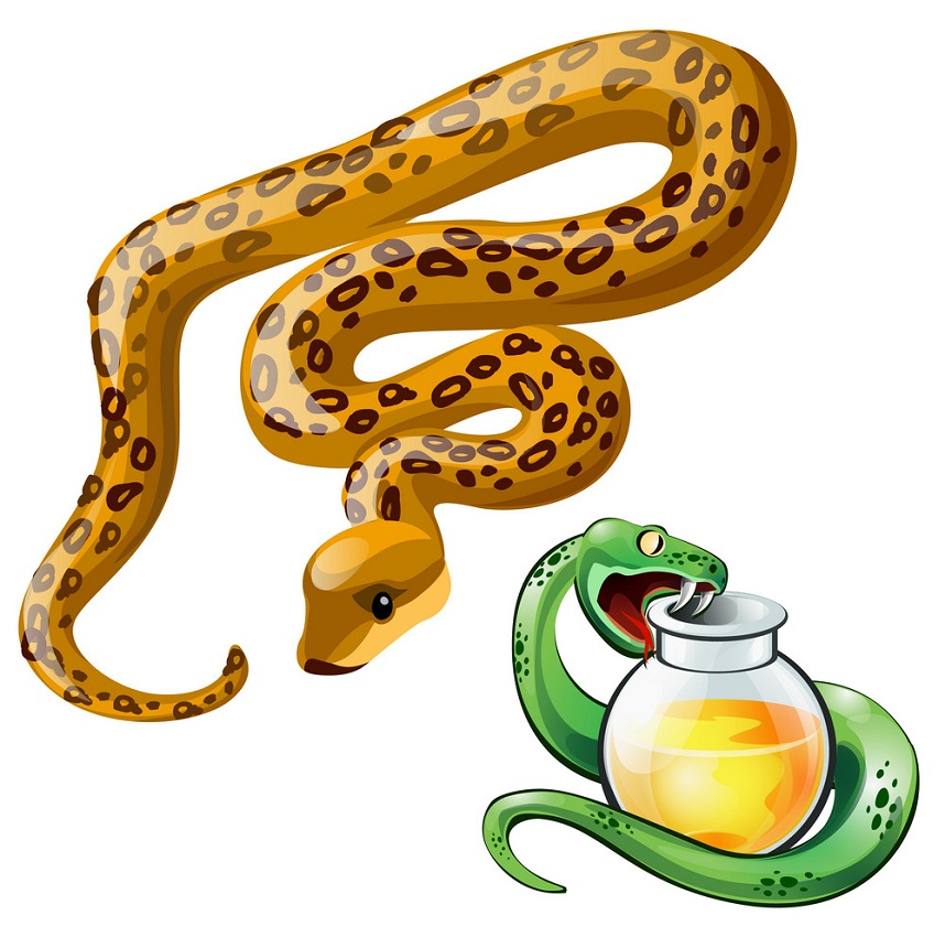 two snakes and poison bottle