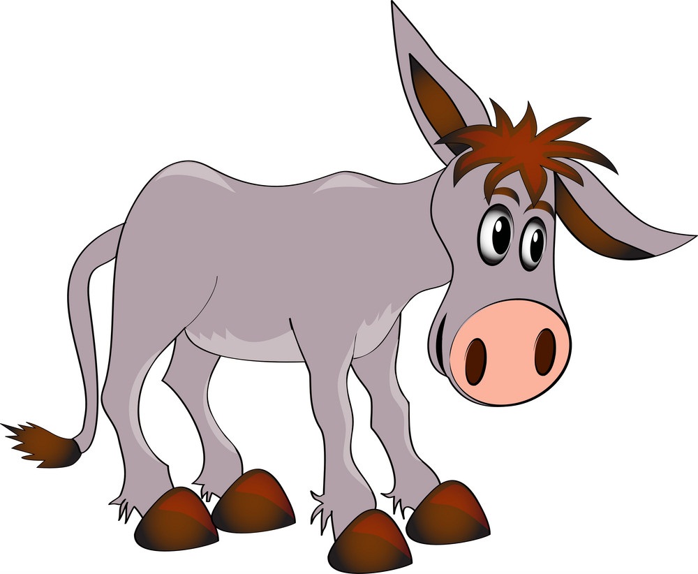 ugly donkey