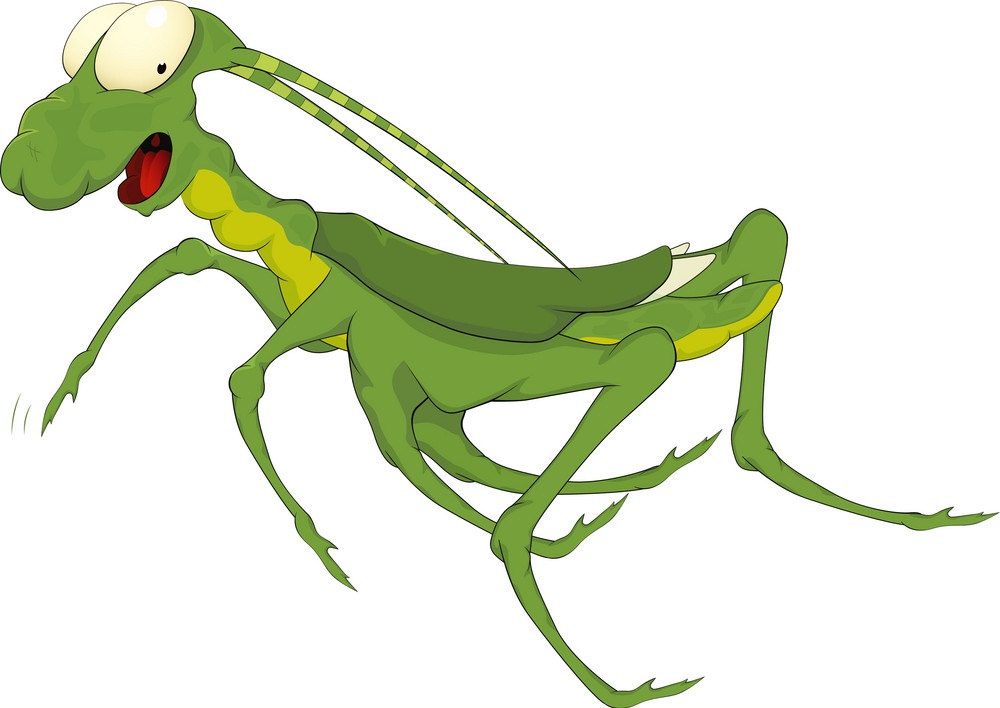 ugly grasshopper