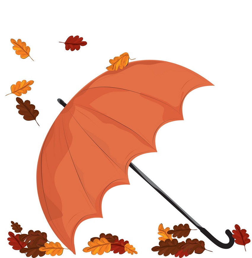 umbrella in fall