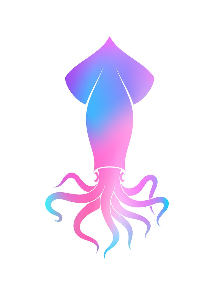 vibrant squid