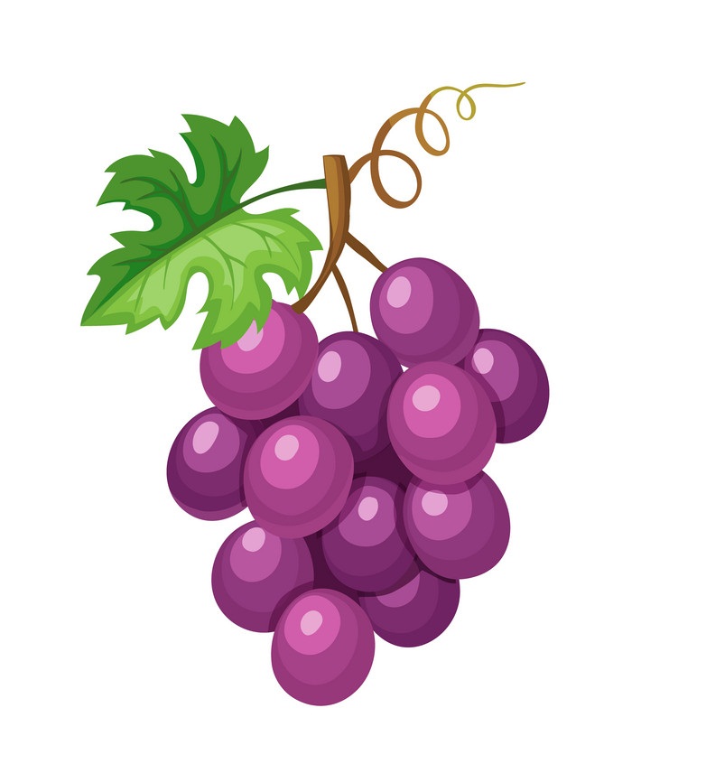 violet grapes icon