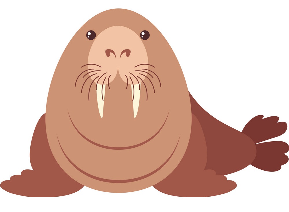 walrus with happy face