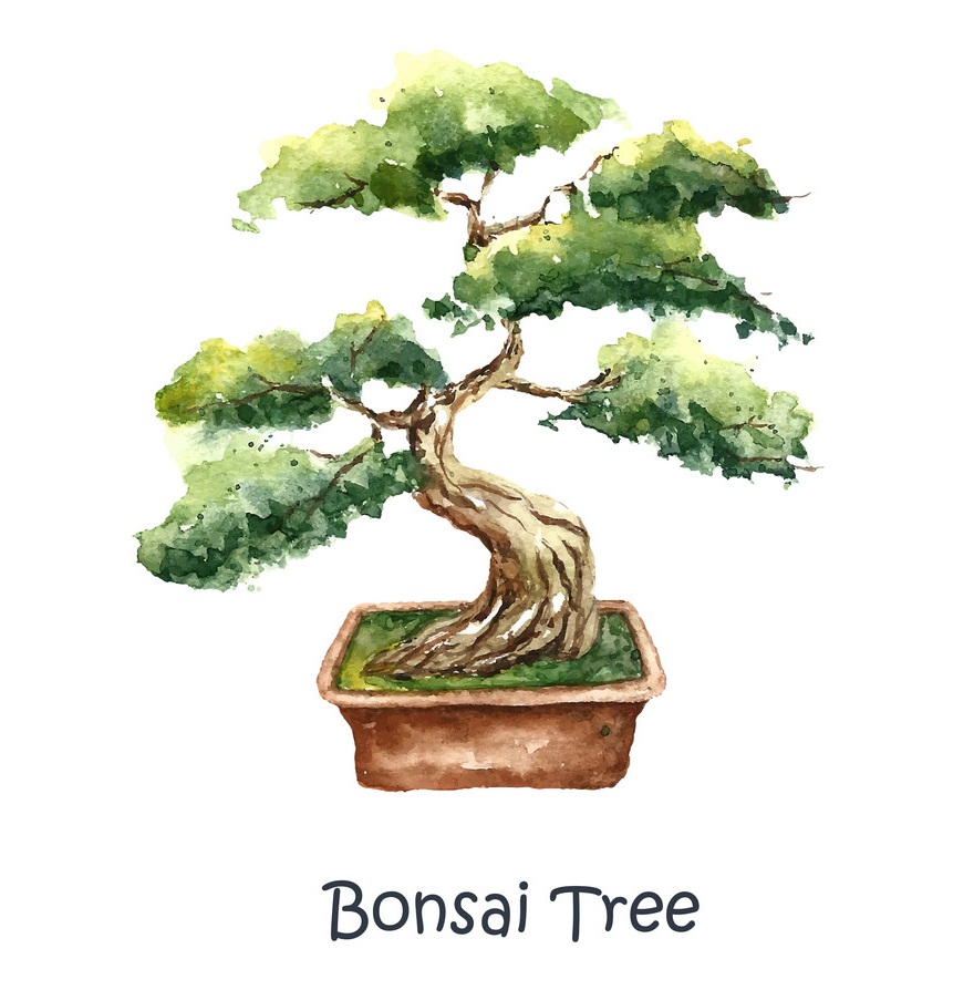 watercolor bonsai