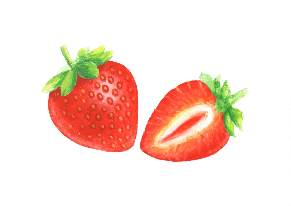 watercolor hand drawn strawberry