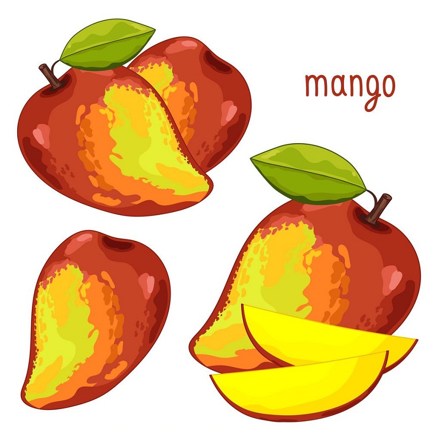 watercolor mangoes