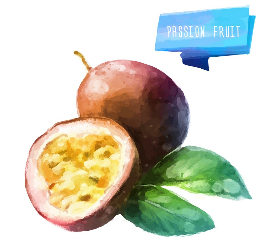 watercolor passion fruit