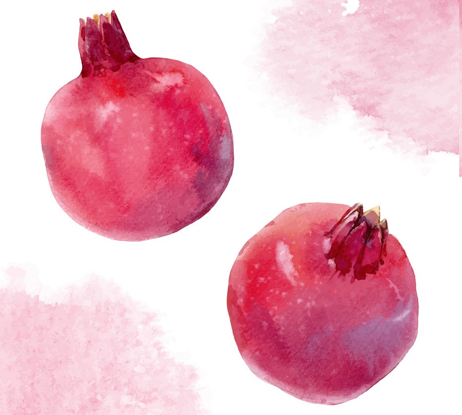 watercolor pommegranates