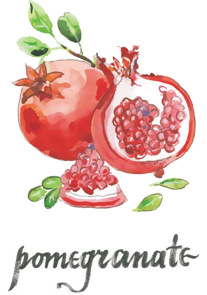 watercolor raw pommegranate