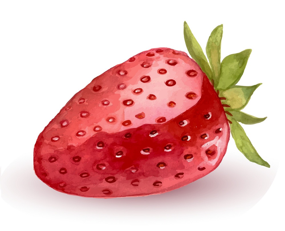 watercolor strawberry 1