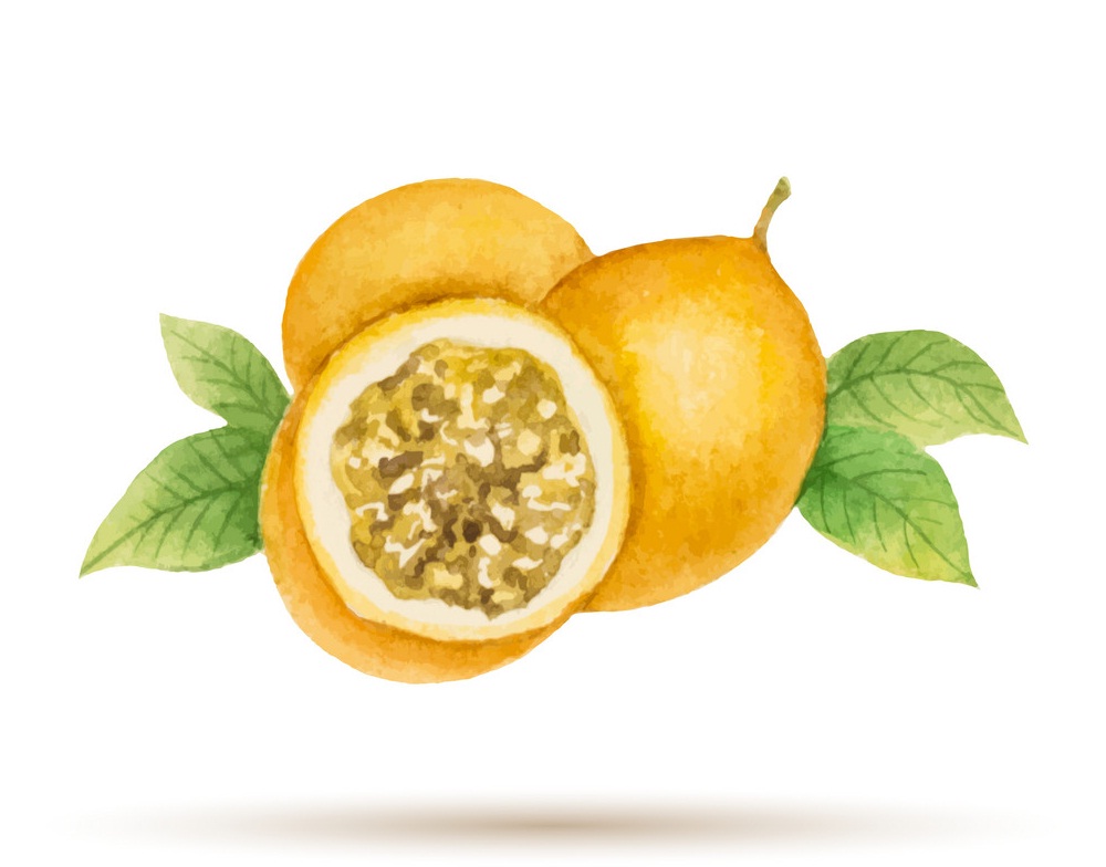 watercolor yellow passion fruit