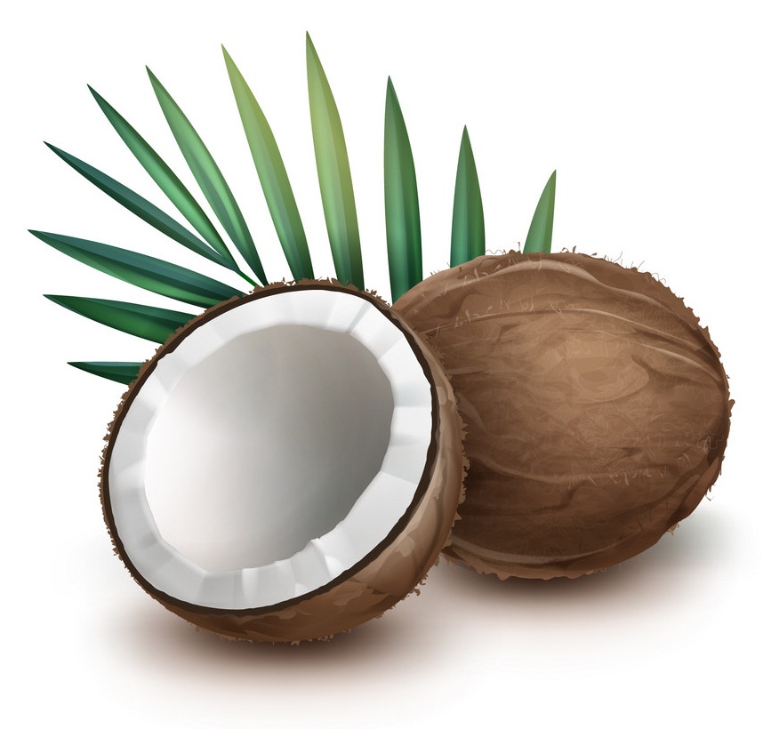 whole and half coconut