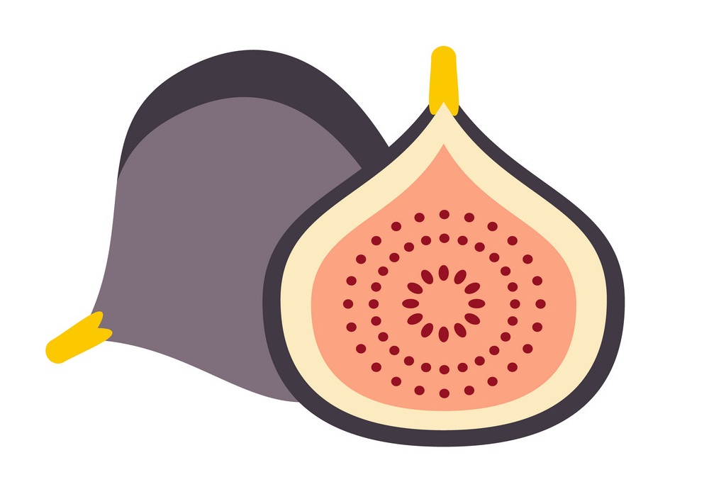 whole and half fig flat icon