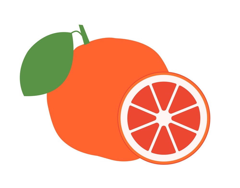 whole and half grapefruit icon