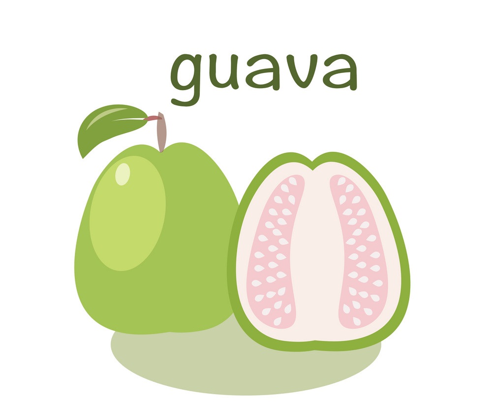 whole and half guava flat design