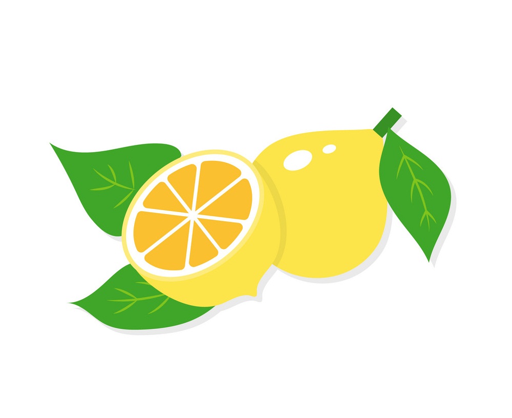 whole and half lemon flat design