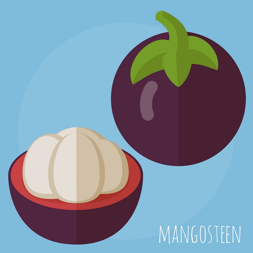 whole and half mangosteen on blue background