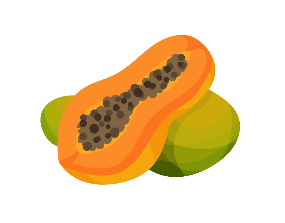 whole and half papaya icon