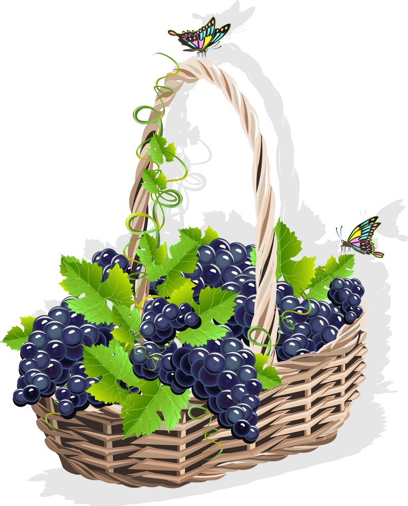 wicker basket with grapes