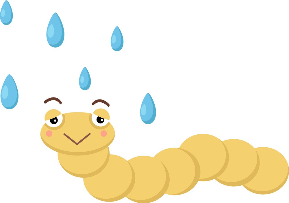 worm with rain