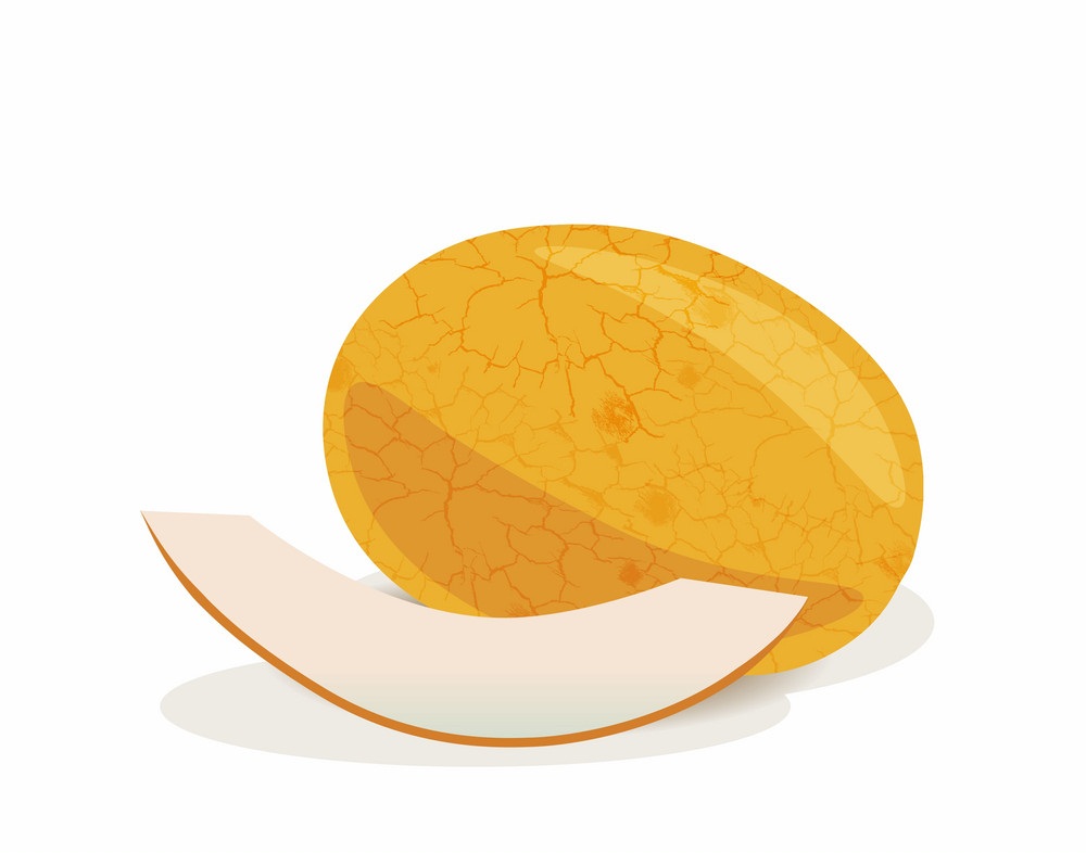 yellow melon fruit