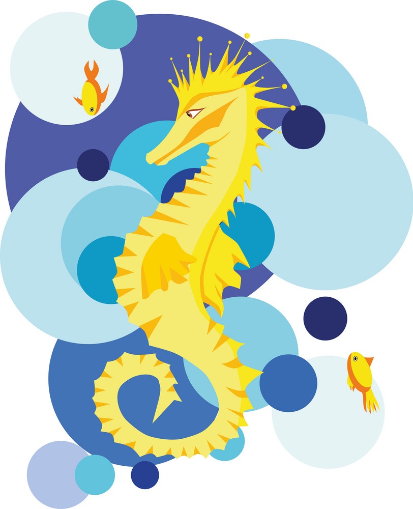 yellow seahorse