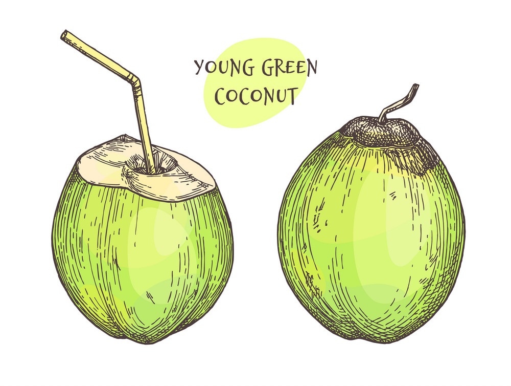 young green coconuts