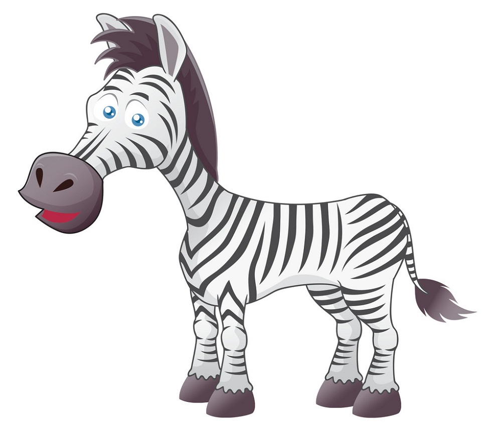 zebra looks funny