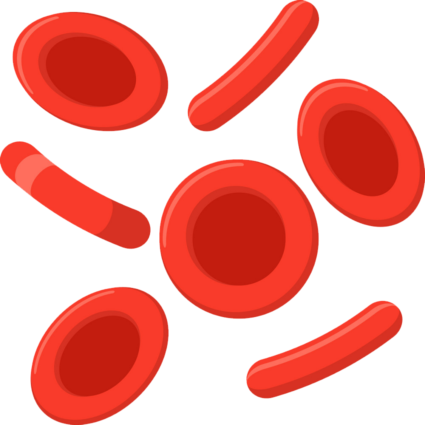 Red blood cells transparent
