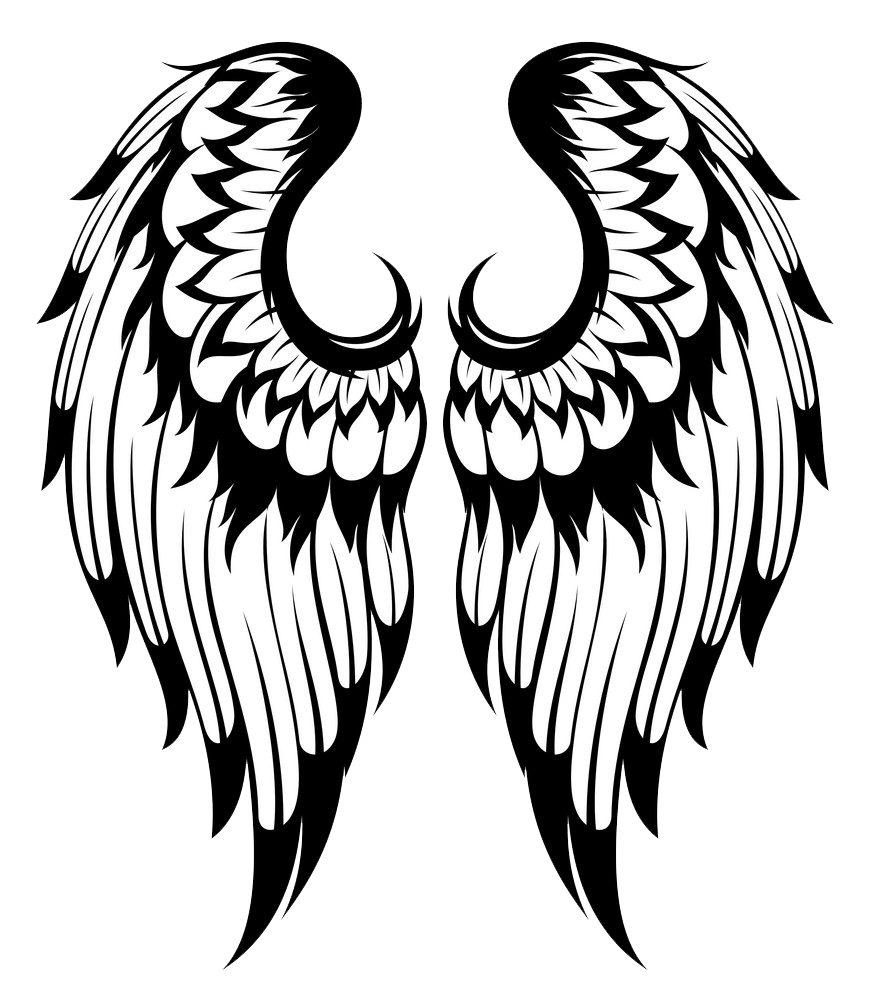 angel wings black and white transparent