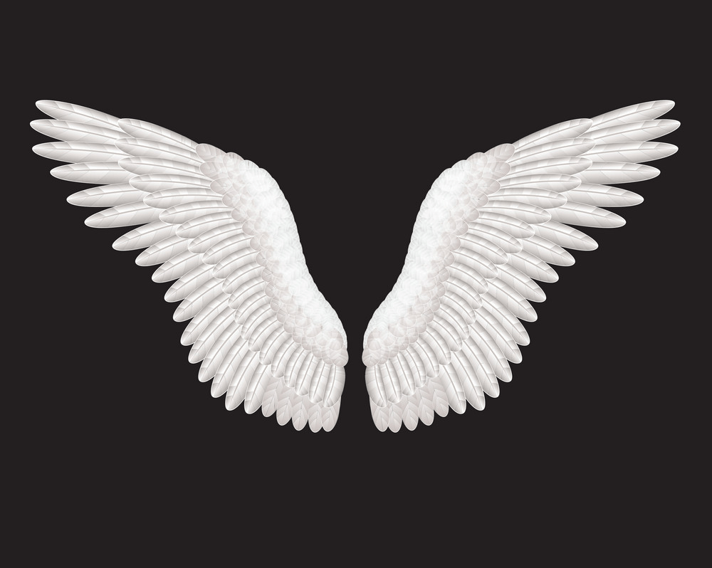 angel wings on black background png