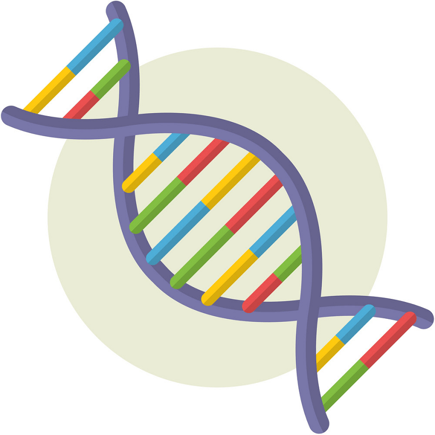 animated dna png transparent