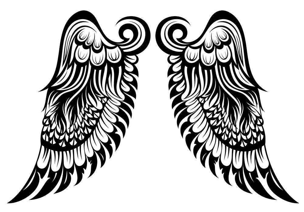 beautiful angel wings transparent