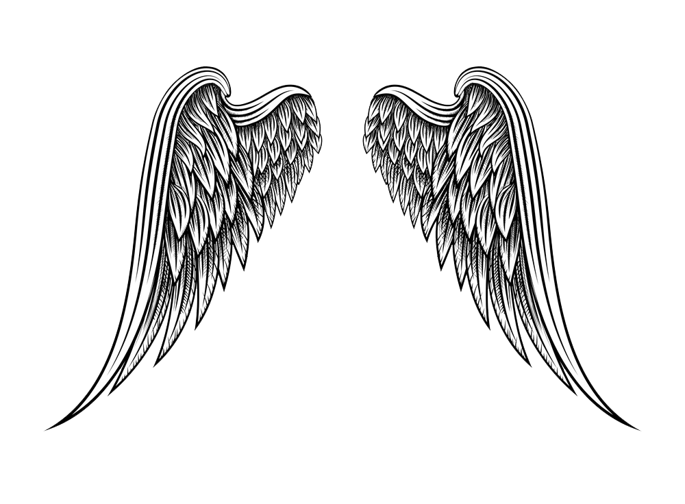 beautiful hand drawn angel wings transparent