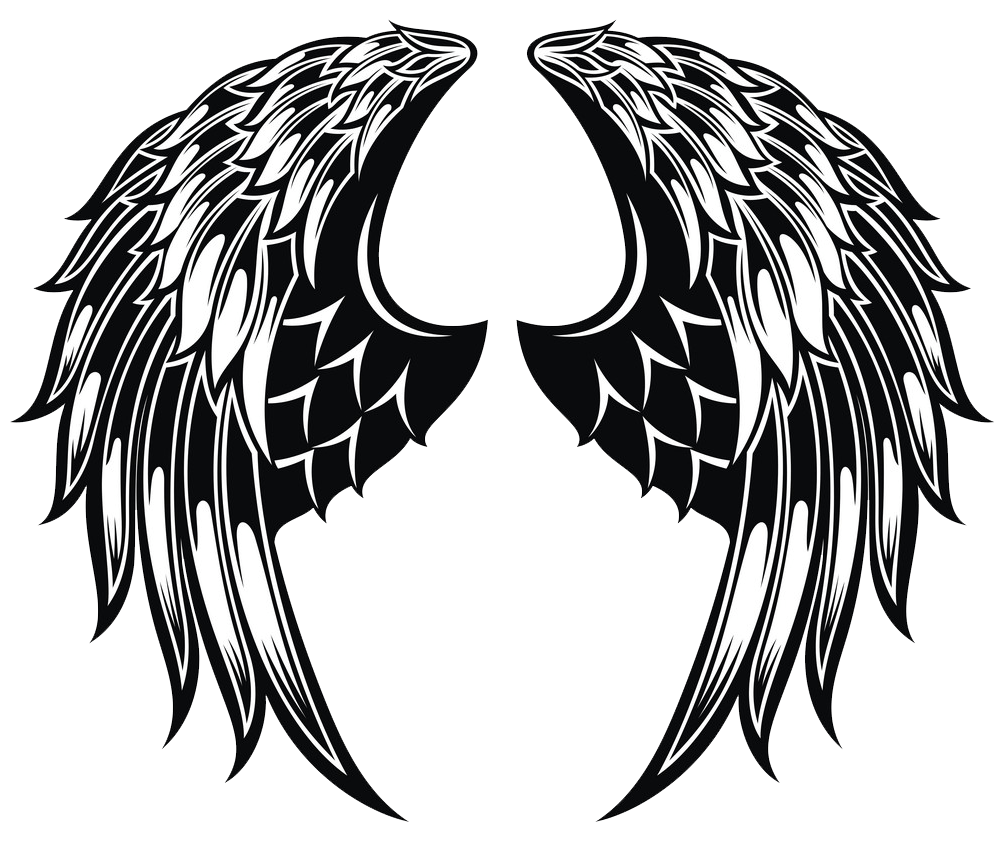 black and white angel wings transparent