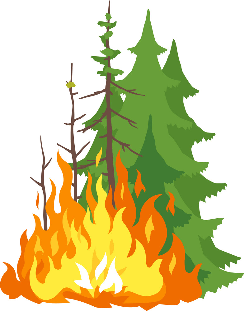 burning forest png transparent