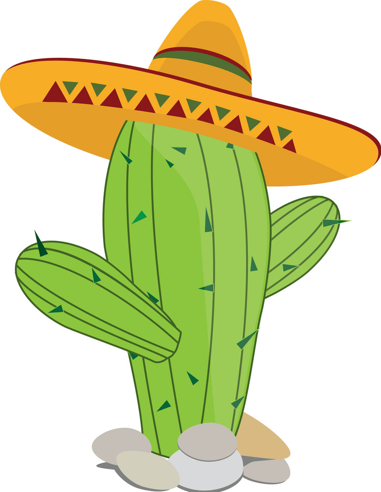 cactus in sombrero png