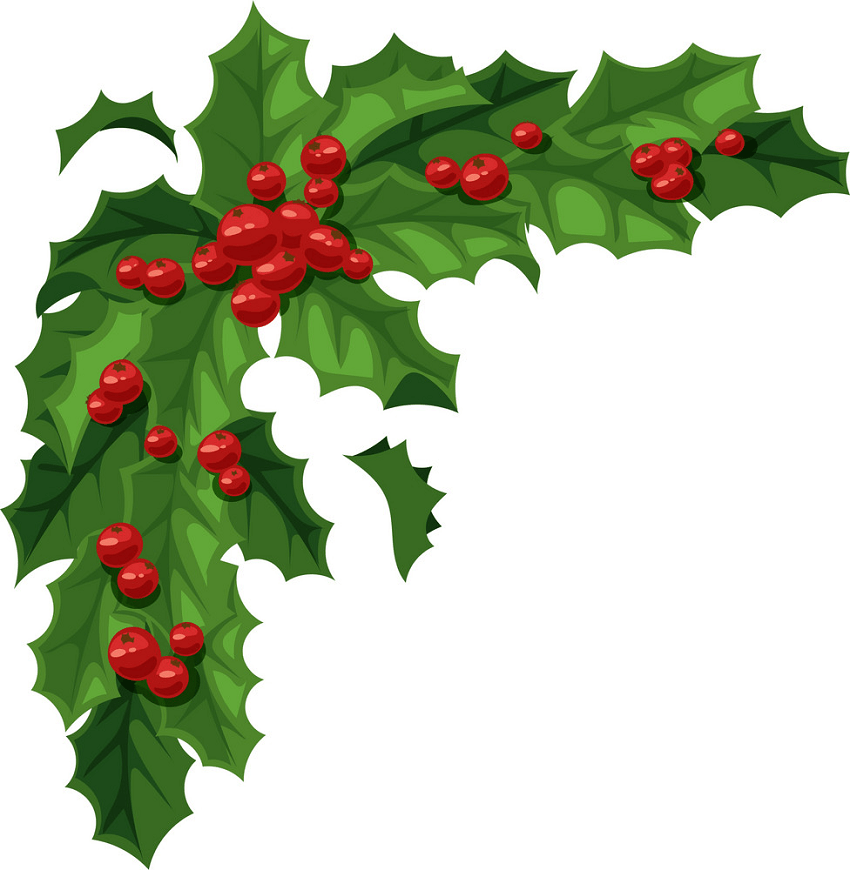 christmas holly berries png