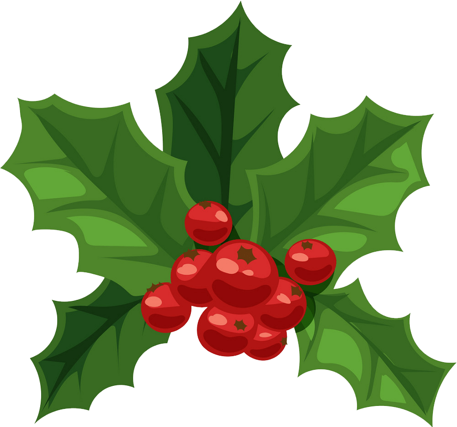 christmas holly png transparent