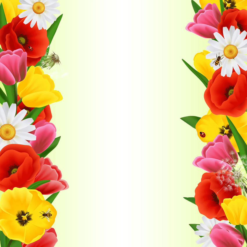 colorful flower border png