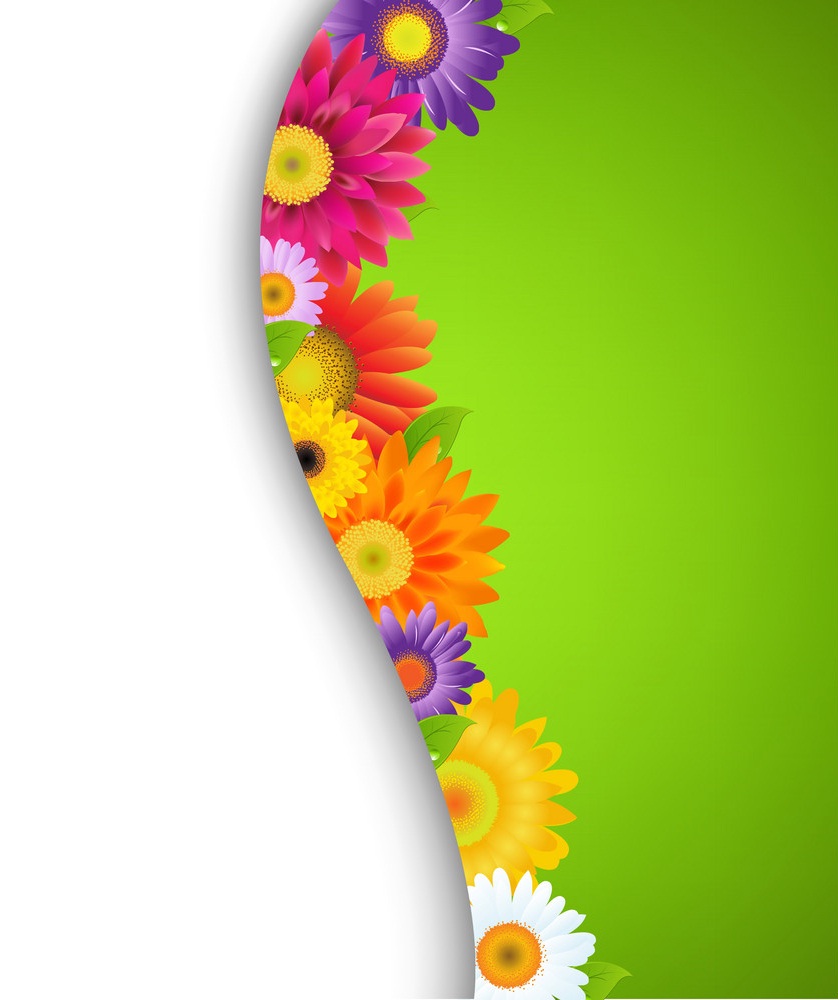 colorful gerbers flower border