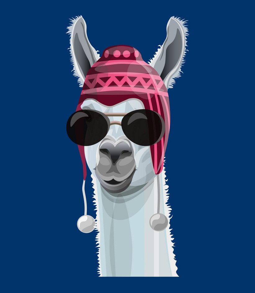 cool llama portrait