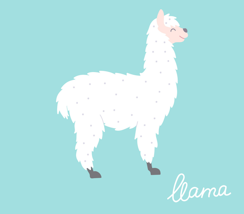 cute llama on blue background png