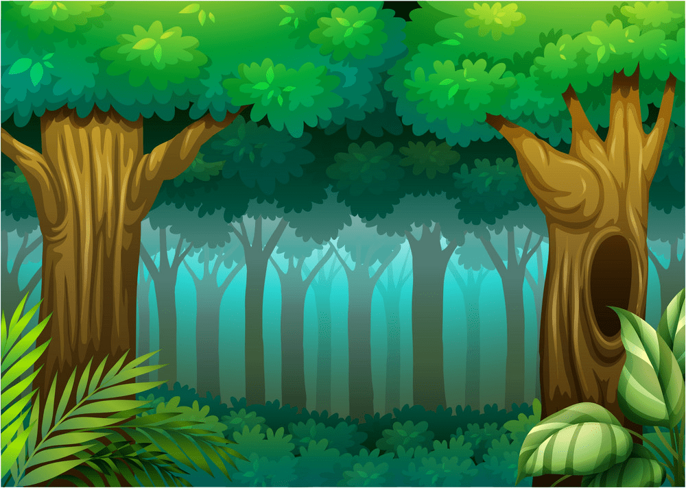 deep forest png