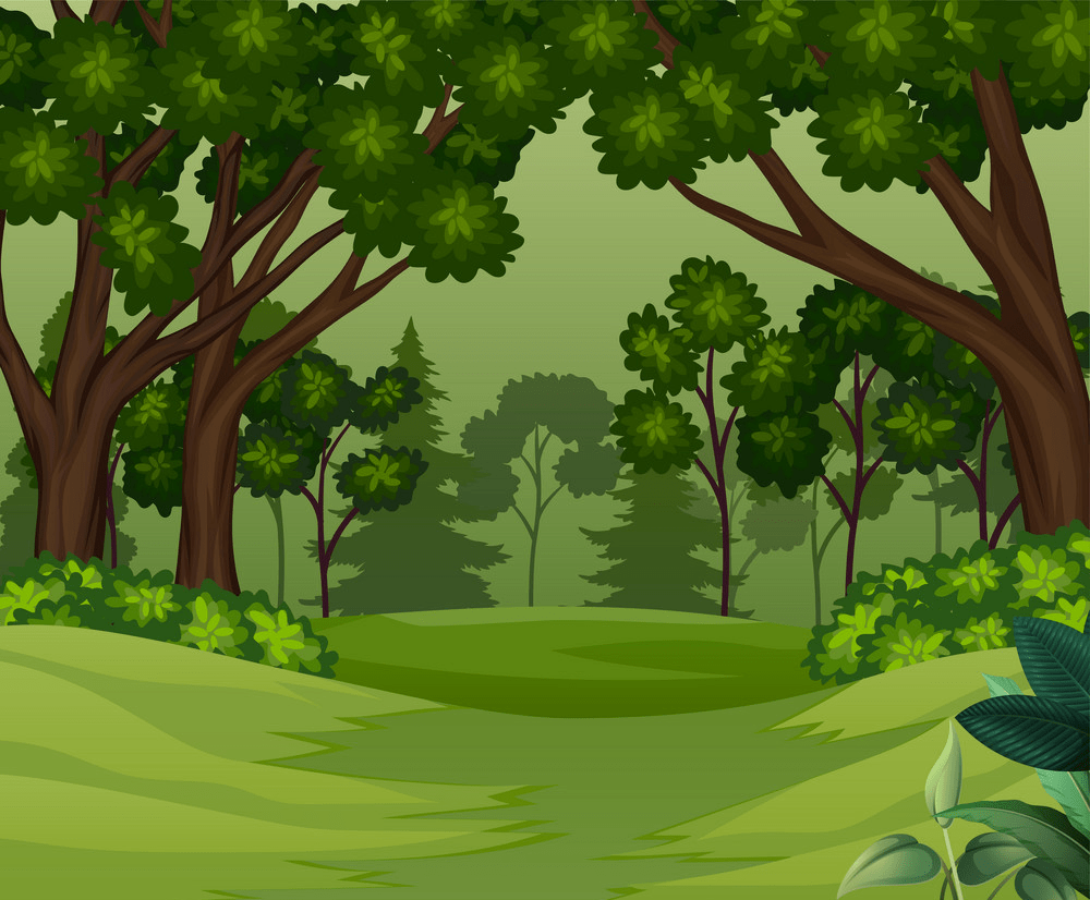 deep forest scene png