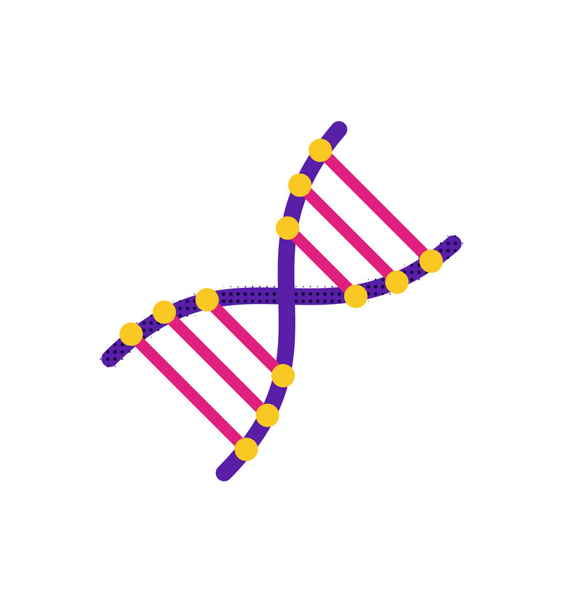 dna flat icon png transparent