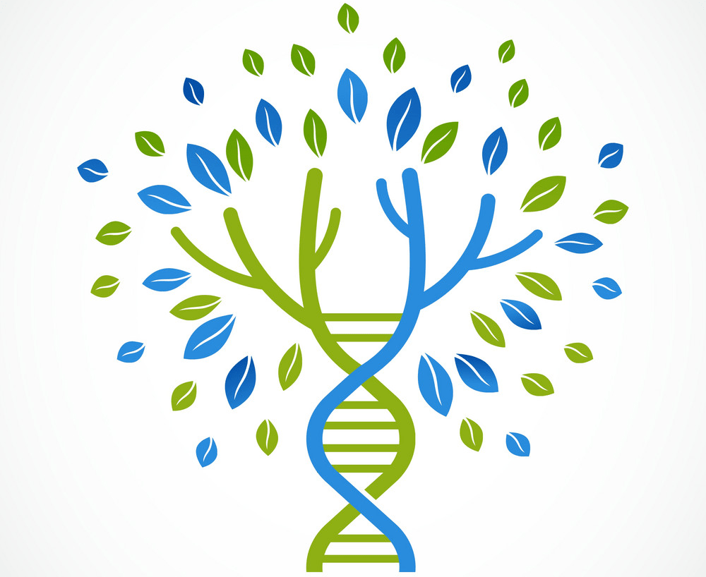 dna genetic icon png transparent