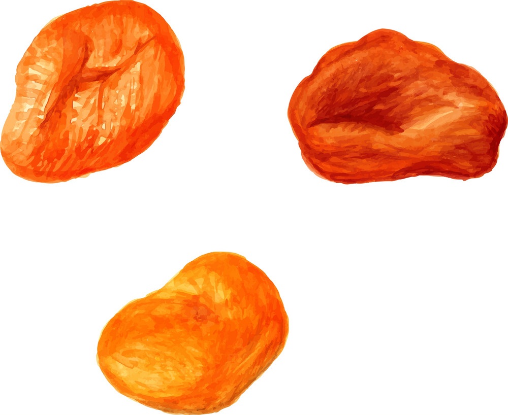 dried apricots fruit