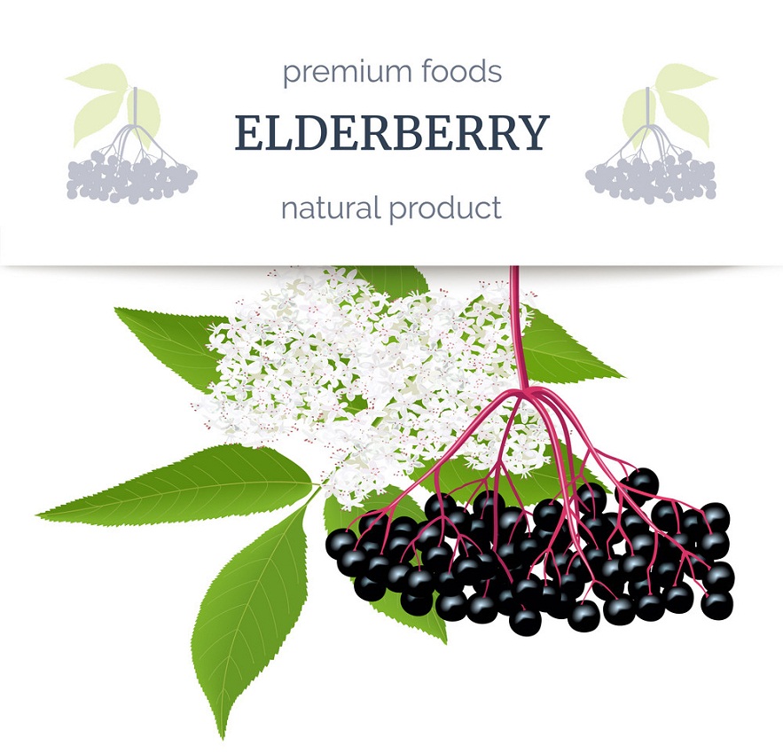 elderberry stripe label
