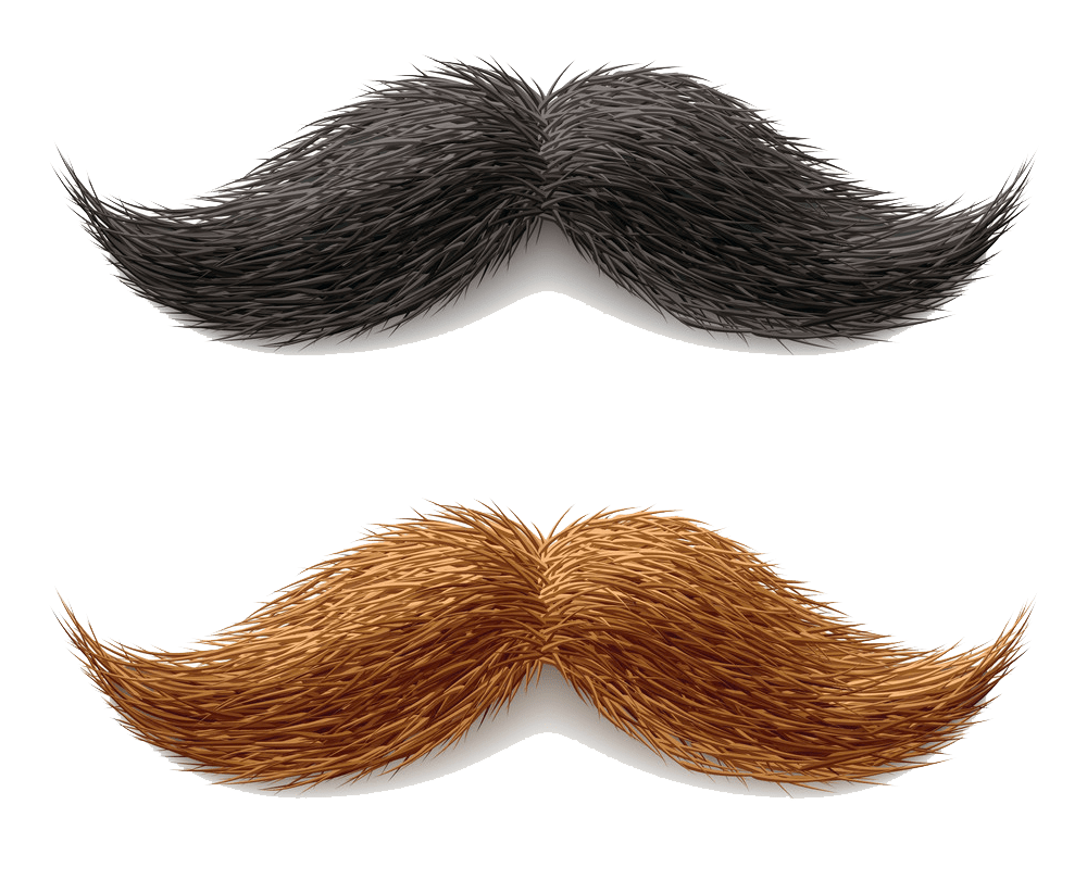 fake mustaches png transparent